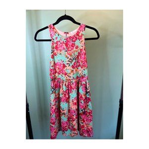 Anthro Everly multi color dress